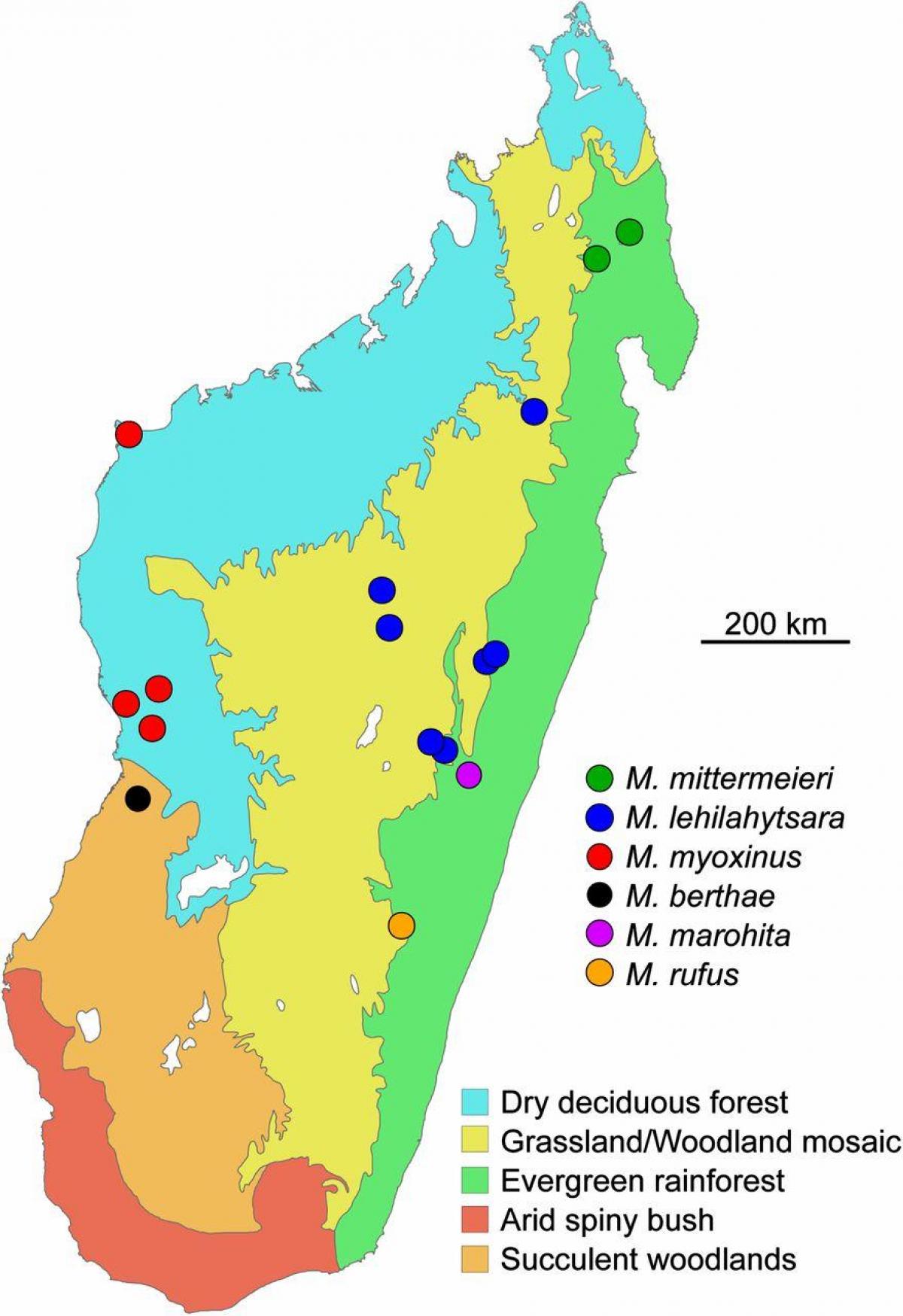 mappa della foresta pluviale del Madagascar
