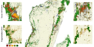 Mappa del Madagascar deforestazione