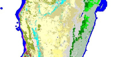 Mappa del Madagascar vegetazione